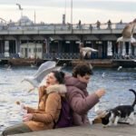 La nueva ola turca en Netflix: las diez series estreno que no te podés perder